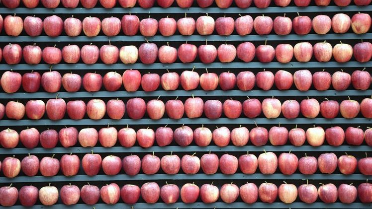 Apfelpyramide. Bild: Fruchtwelt Bodensee. 