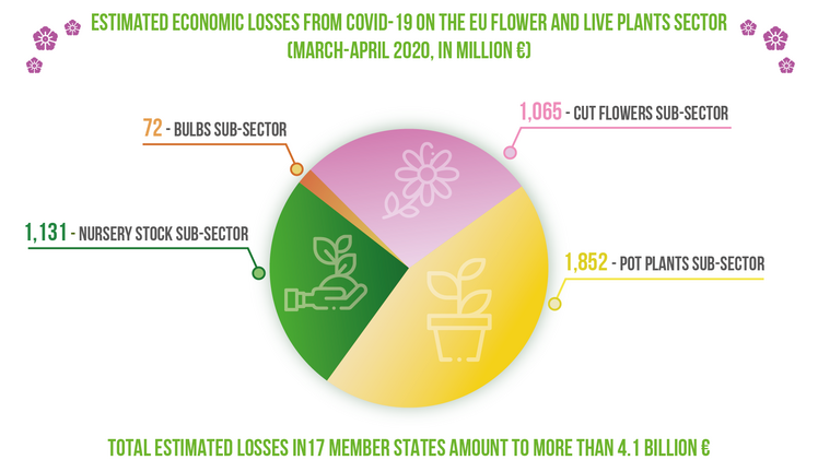 Geschätzte wirtschaftliche Verluste im Sektor COVID-19 -EU-Blumen und lebende Pflanzen im März und April 2020. Bild: UNION FLEURS, ENA, AREFLH, COPA-COGECA.