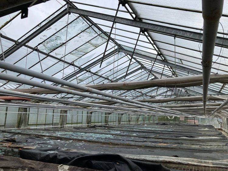 Sturmschäden bei Glashaus. Bild: Österreichische Hagelversicherung.