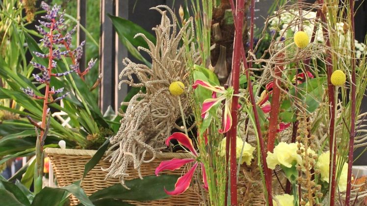 Der FDF, die Fachzeitschrift "gestalten & verkaufen" und Blumenbüro Holland rufen zu einem Facebook-Fotowettbewerb zur IPM 2018 auf. Bild: GABOT.