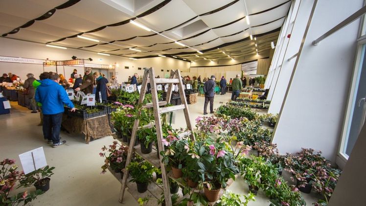Alle Freunde und Liebhaber von Schneeglöckchen & Co. kommen auf der Raritätenbörse im egapark voll auf ihren Kosten. Bild: egapark. 