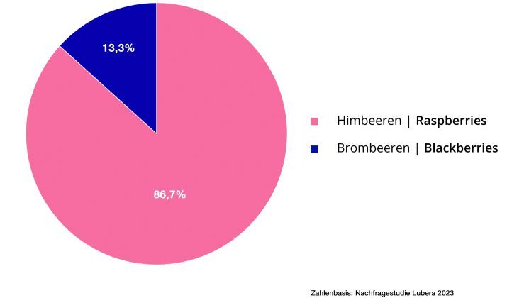 Im Vergleich zu Himbeeren fristen Brombeeren im Hausgarten bisher bloss ein Nischendasein. Bild: © Lubera.