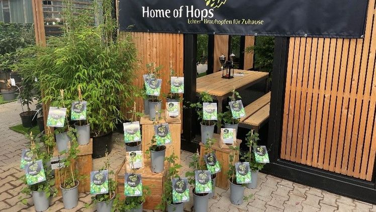 HOPS Präsentation bei Heinje Baumschulen anlässlich der Oldenburger Vielfalt. Bild: RiPlant.