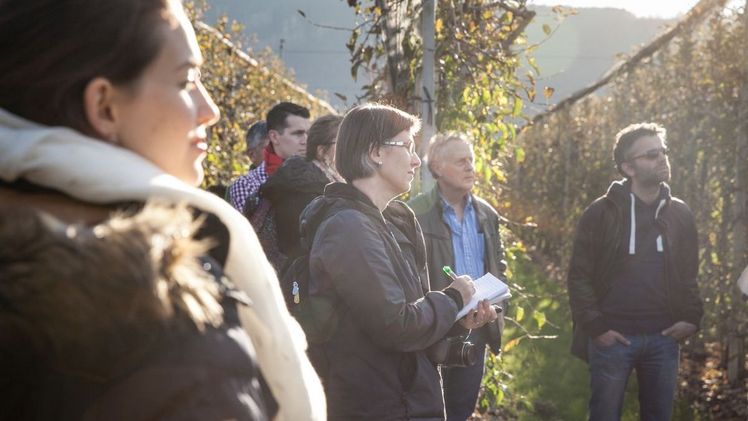 Best Practices im Apfelanbau auf der Interpoma 2022. Bild: Interpoma.