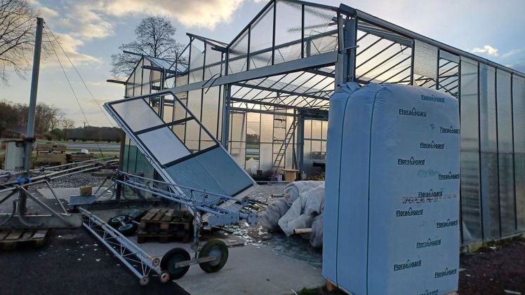 Sturmschaden durch Tief „Zeynep“ in einer Topfhalle am Niederrhein. Bild: GV.