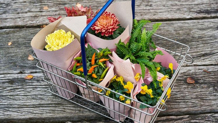 Steigende Inflation: Wie wirkt sie sich auf der Branche aus? Bild: BBH.