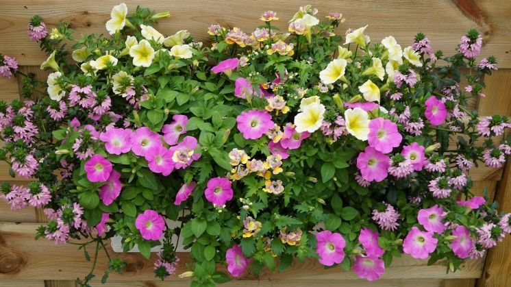 Viele Betriebe bewerten ihre derzeitige Geschäftslage als gut oder befriedigend. Bild: GABOT.