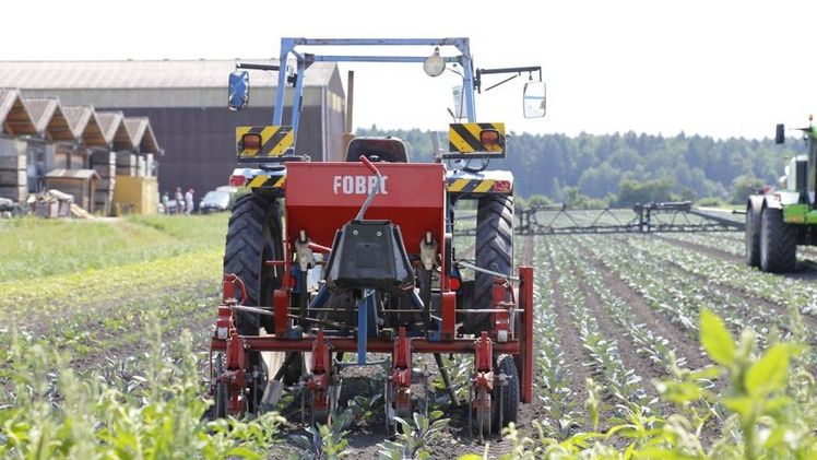 Im Vordergrund wird gehackt – im Hintergrund gespritzt: Beides dient dem Pflanzenschutz. Bild: jin.