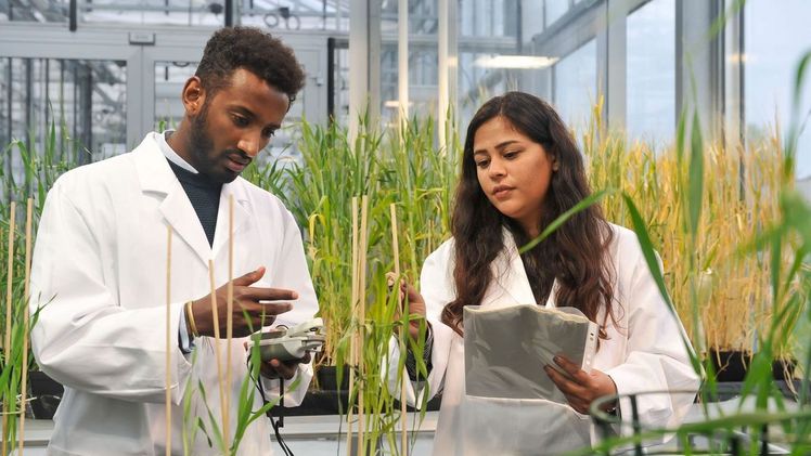 Das NTU-Ranking by Subjects bescheinigt der Universität Hohenheim auch 2023 die Spitzenposition in Deutschland in Agrarforschung und Food Sciences. Bild: Universität Hohenheim / Max Kovalenko.