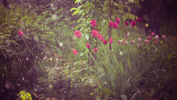 Der April macht in den nächsten Tagen mit Regen, Wind und vielleicht auch Schnee, was er will. Bild: WetterOnline.