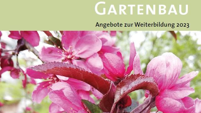 Die Niedersächsische Gartenakademie der Landwirtschaftskammer Niedersachsen hat ihr Veranstaltungsprogramm 2023 für die berufliche Weiterbildung im Gartenbau veröffentlicht. Bild: LWK Niedersachsen.