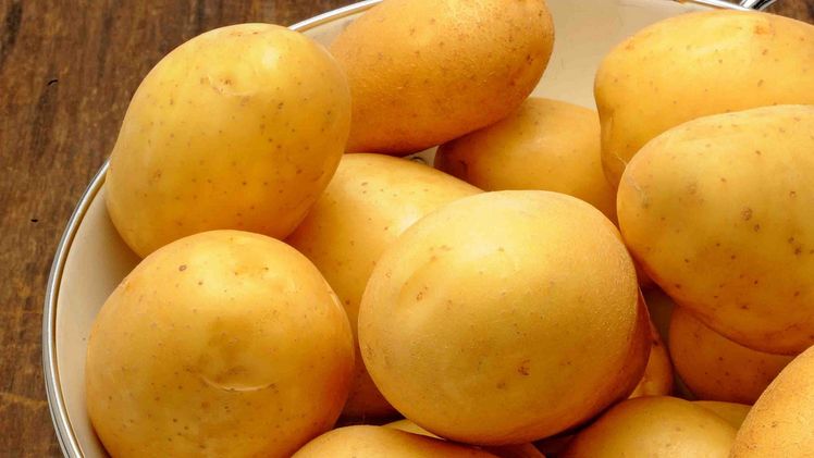 Die vorwiegend festkochende Kartoffelsorte  Marabel ist fein süßlich im Geschmack und eignet sich etwa ideal für die Zubereitung von Ofenkartoffeln. Bild: KMG / Europlant.  Die vorwiegend festkochende Kartoffelsorte  Marabel ist fein süßlich im Geschmack und eignet sich etwa ideal für die Zubereitung von Ofenkartoffeln. Bild: KMG / Europlant.