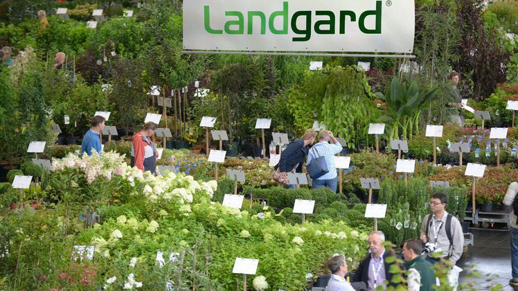 Landgard_spoga+gafa_Ordertage: Mit dem Fokus Nachhaltigkeit sind die Landgard Pflanzen-Ordertage in Halle 5.1, die mit rund 7.000 Quadratmetern schon seit Jahren das grüne Herz der Gartenfachmesse sind, in diesem Jahr sogar noch grüner. Bild: Landgard.