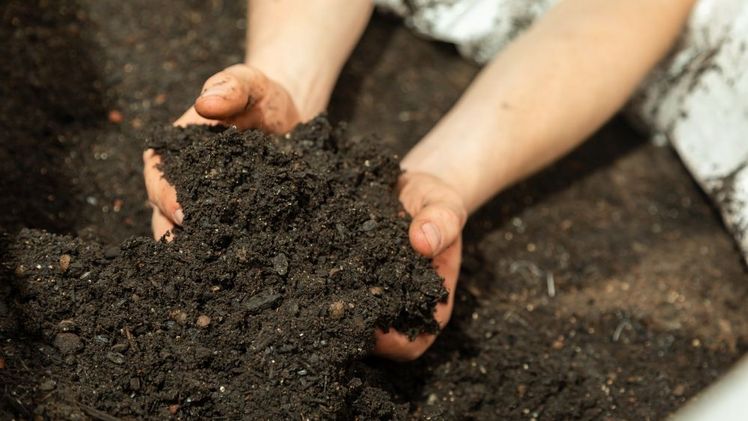 Die klimafarmer GmbH arbeitet mit mehreren Substratherstellern zusammen, die torffreie gärtnerische Erden produzieren und die durch den Zusatz von Pflanzenkohle nicht nur klimaneutral, sondern sogar klimapositiv eingestuft werden. Bild: klimafarmer.