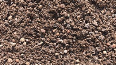 Die mineralische Struktur des Spezialsubstrats fördert die Drainagewirkung und Belüftung des Wurzelbereichs und beugt einer Verdichtung der Erde vor. Bild: frux.