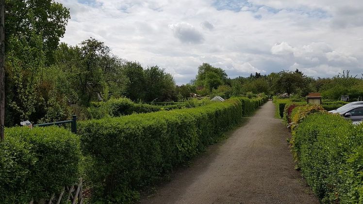 22 Kleingartenanlagen haben sich gemeinsam mit ihren Kommunen einen Platz im Finale des Bundeswettbewerbs „Gärten im Städtebau“ 2022 gesichert. Bild: GABOT.