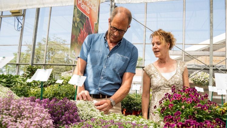 Pack Trials bei PanAmerican Seed. Bild: PanAmerican Seed.