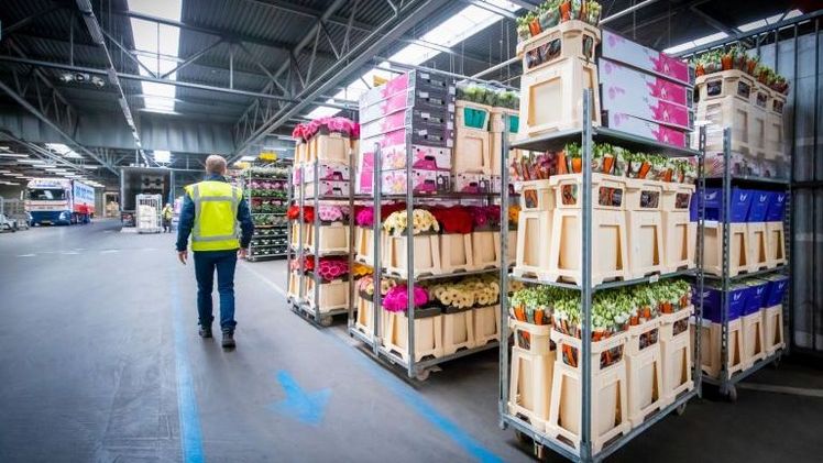 In diesem Jahr hat RFH mit Container Centralen vereinbart, dass sie während der Spitzenzeit über zusätzliche Container verfügen können. Bild: RFH.