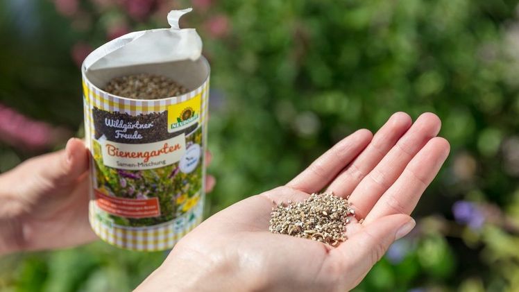 Neudorff - Wilde Freude für die Bienen. Bild: Neudorff.