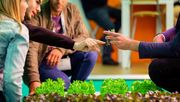 Die GreenTech Amsterdam findet von Dienstag, 20. bis Donnerstag, 22. Oktober 2020 statt. Bild: GreenTech 2019_©FlorisHeue.
