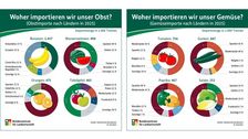Woher importieren wir unser Obst und Gemüse? Grafik: BLE. 