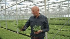 Feico Smit erklärt die Vorteile der Plant Select-Sorten. Bild: GABOT.