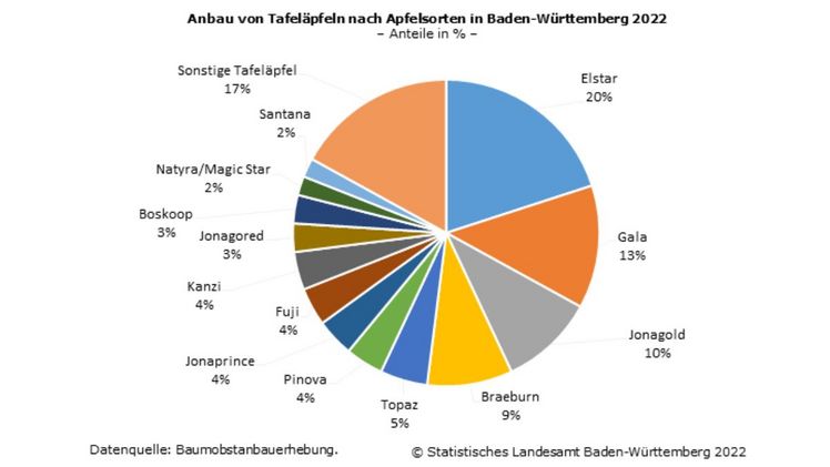 Anbau von Tafeläpfeln nach Apfelsorten in Baden-Württemberg 2022. Bild: Baumobstanbauerhebung.