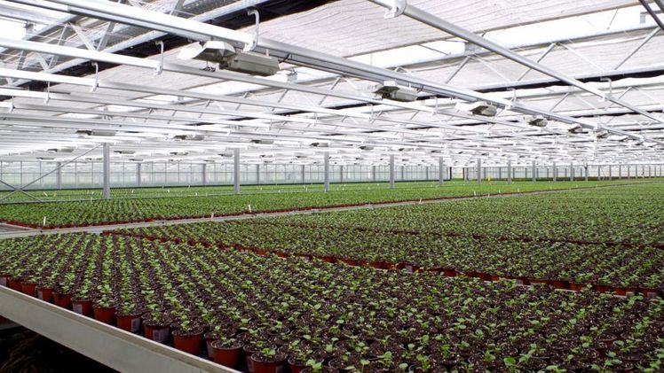 „Pesticide Free Horticulture“ ist einer der Forschungsschwerpunkte. Bild: GABOT.