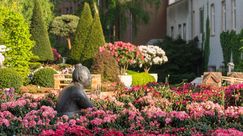 RHODO 2018 - Skulptur Oma Apen taucht ein ins Blütenmeer. Bild: Gerhard Sander.