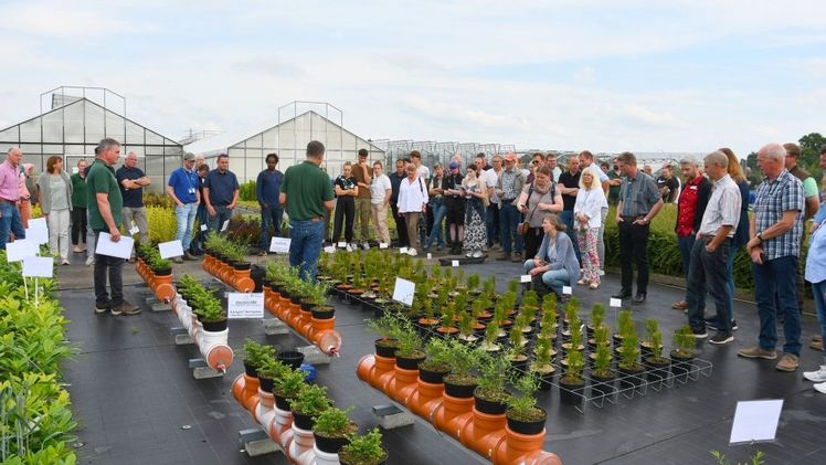 Rund 75 Fachbesucher führten die beiden Versuchsingenieure Thorsten Ufer und Hendrik Averdieck durch die aktuellen Versuche im Gartenbauzentrum. Bild: M. Wienert, florum.de. Rund 75 Fachbesucher führten die beiden Versuchsingenieure Thorsten Ufer und Hendrik Averdieck durch die aktuellen Versuche im Gartenbauzentrum. Bild: M. Wienert, florum.de.