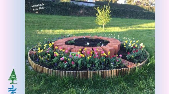 Die Einsendung der Waldbachschule (Klasse Garten-AG) aus Bad König. Bild: Bulbs4Kids.