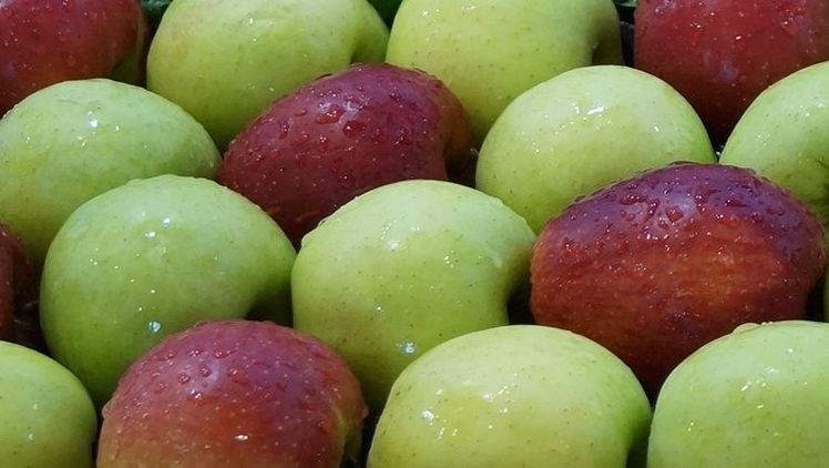 "Importierte Lebensmittel werden als deutlich umweltschädlicher wahrgenommen." Bild: GABOT.