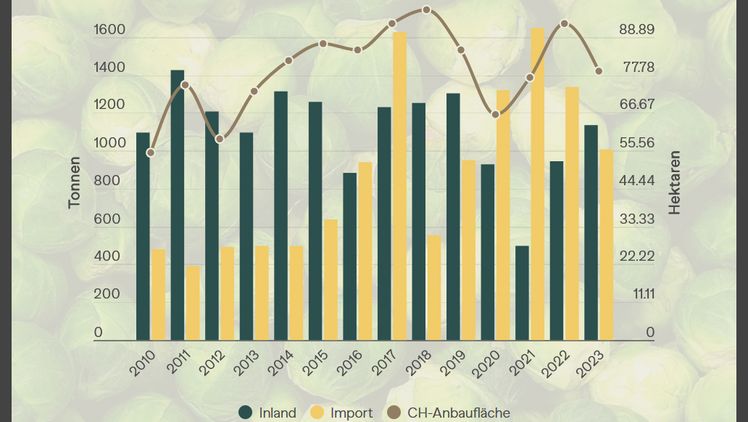Achterbahnfahrt des Rosenkohls. Grafik: lid.ch.