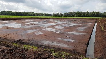 Neue Anbauflächen in Vorbereitung. Bild: GABOT. Neue Anbauflächen in Vorbereitung. Bild: GABOT.