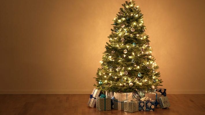 Wer unnötige Kontakte und Schlepperei vermeiden möchte, kann seine Tanne auch einfach bequem online bestellen. Bild: obs/Sparwelt.de.