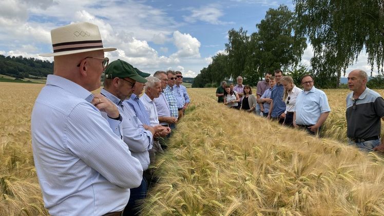 Mitglieder des Ausschusses Pflanze im Landvolk NIedersachsen wagen erste Prognosen zur diesjährigen Getreidernte. Bild: Landvolk.