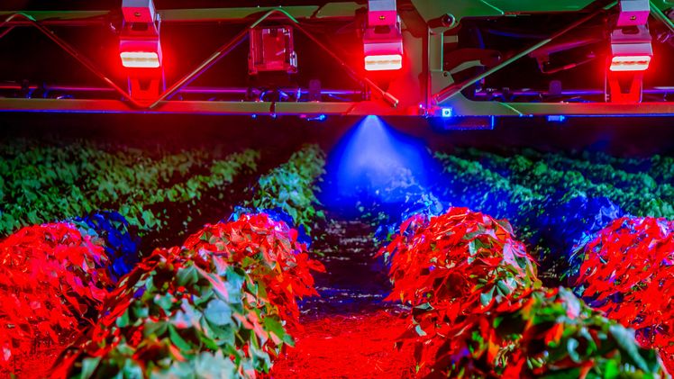 Der Imperador 4000 Eco Spray von Stara kann dank der Technologie von ONE SMART SPRAY, zu der auch ein LED-Beleuchtungssystem gehört, rund um die Uhr arbeiten. Bild: © Copyright Stara 2024.