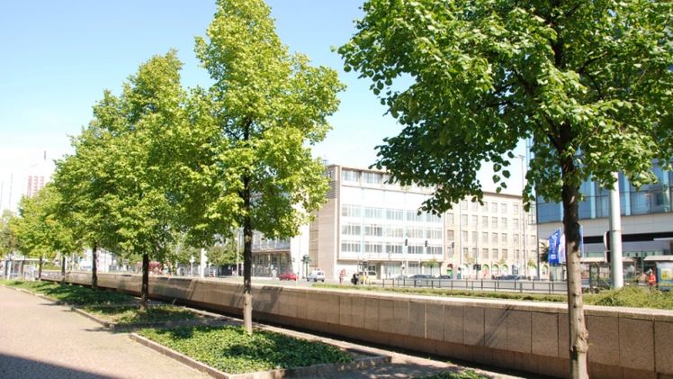 Stadtgrün ist längst anerkannt als wertvolles Instrument für Städte, um sich an die Folgen des Klimawandels anzupassen. Foto: VGL NRW.  Stadtgrün ist längst anerkannt als wertvolles Instrument für Städte, um sich an die Folgen des Klimawandels anzupassen. Foto: VGL NRW.