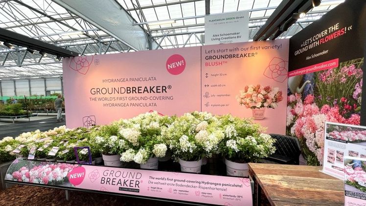 Das Groundbreaker®-Konzept überzeugt mit passenden POS-Materialien. Bild: Harries Plantdesign.