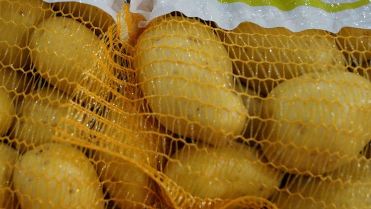 2025 umfasste die Thüringer Anbaufläche rund 1.700 Hektar. Bild: GABOT.