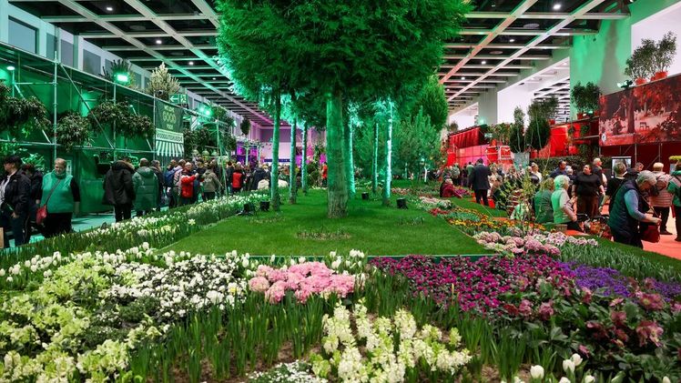 Die Blumenhalle auf der Grünen Woche 2024.. Bild: © Messe Berlin GmbH.