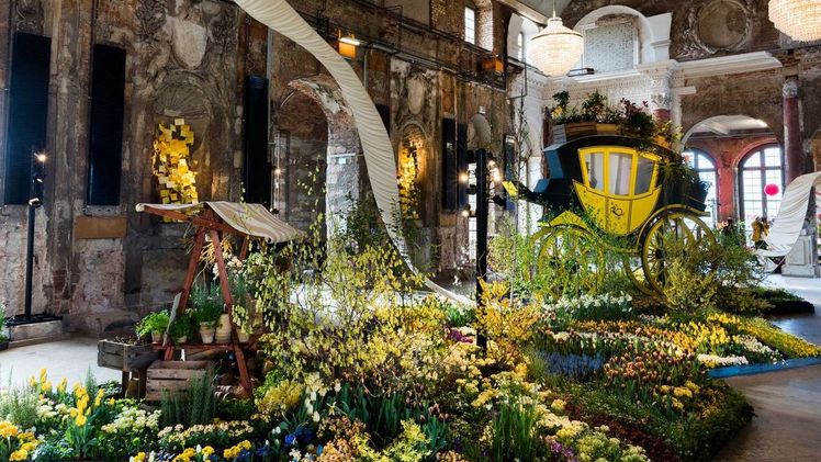 Beim „Dresdner Frühling im Palais“ werden Frühlingsblüher zu beeindruckenden Szenen arrangiert, Archivbild 2020. Bild: Sebastian Thiel.