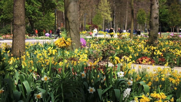 Die große Promenade der Gartenschau. Bild:  © Gartenschau Bad Lippspringe.