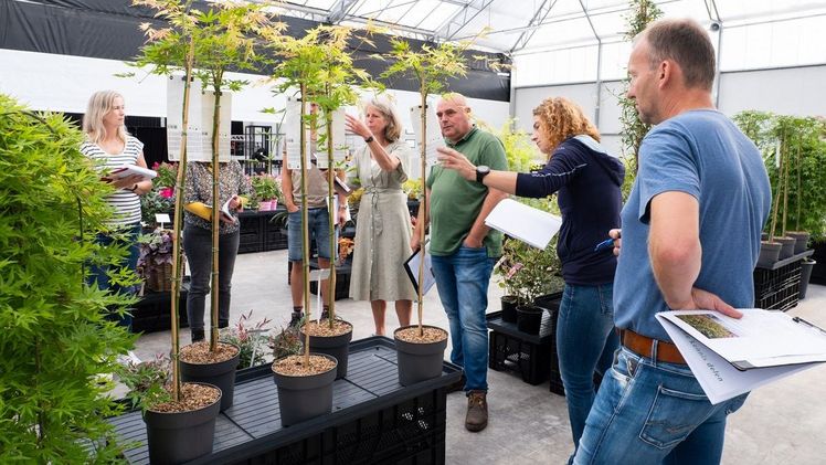 Neues Verfahren für die Begutachtung von Novitäten bei PLANTARIUM|GROEN-Direkt. Bild: PLANTARIUM|GROEN-Direkt.