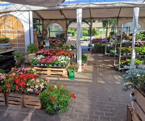 PächterIn für Gartencenter/Blumenladen/Gärtnerei mit Freilandfläche und Gewächshaus gesucht