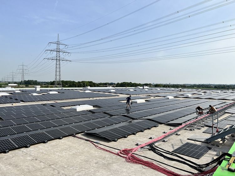 Investition mit Weitblick: Mit einer Leistung von 3,2 Megawatt in der Spitze entsteht derzeit in Mutterstadt eine der größten Aufdach-Photovoltaik-Anlagen der Pfalz. Bild: Pfalzmarkt eG.