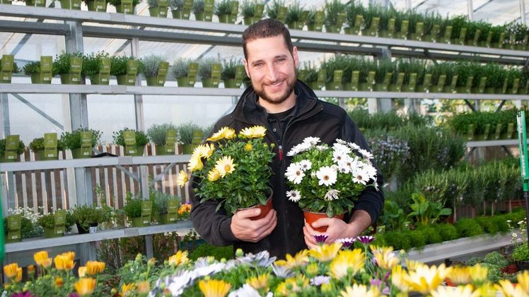 Beim Tag der offenen Gärtnerei stehen Bayerns Gärtner gerne Rede und Antwort - zur Verwendung ihrer Pflanzen ebenso wie zu Herkunft und Anzucht. Foto: BGV.