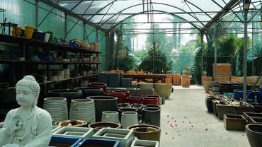 Impressionen vom Horto do Campo Grande Gartencenter in Quinta da Eira. Bild: GABOT.