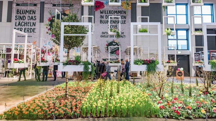 IGW 2018: Neue Blumenhalle von Landgard begeistert bereits am ersten Messetag als sprudelnder Publikumsmagnet. Bild: Landgard.
