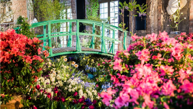 Höhepunkt des Dresdner Frühlings im Palais 2023 war im Festsaal die Szene zu Monets Seerosengarten mit der berühmten Brücke. Bild: Dresdner Frühling.